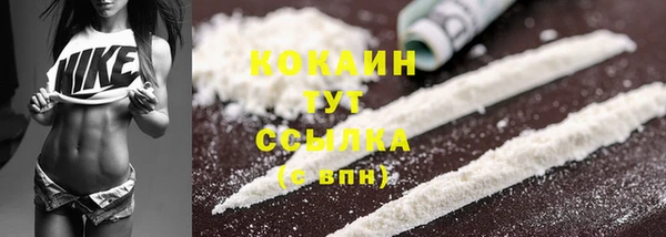 2c-b Пестово