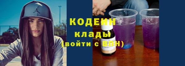 2c-b Пестово