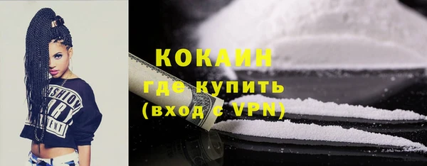 2c-b Пестово