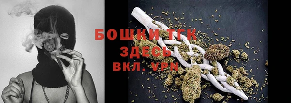 2c-b Пестово