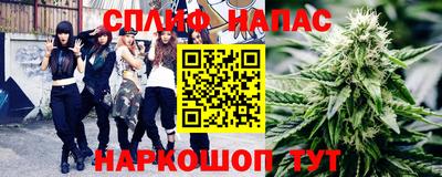 хмурый Абакан