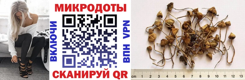 Псилоцибиновые грибы мухоморы Сердобск
