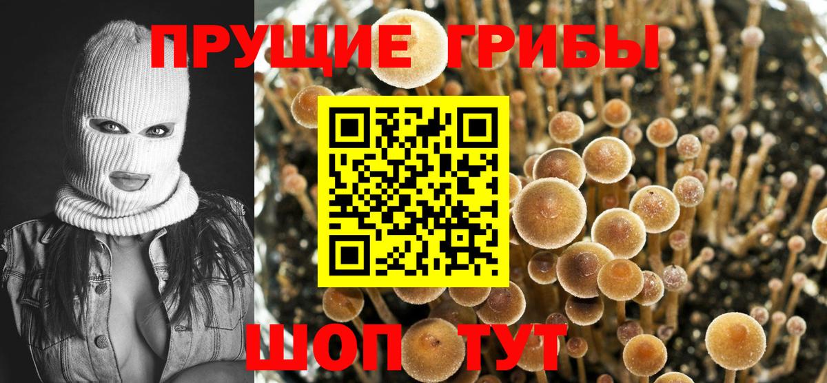 Галлюциногенные грибы Cubensis Сердобск