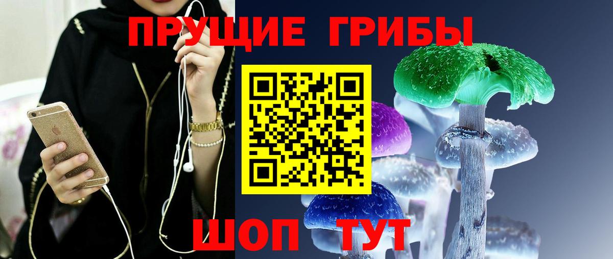 Псилоцибиновые грибы Cubensis  Сердобск  закладки  Псилоцибиновые грибы GOLDEN TEACHER 